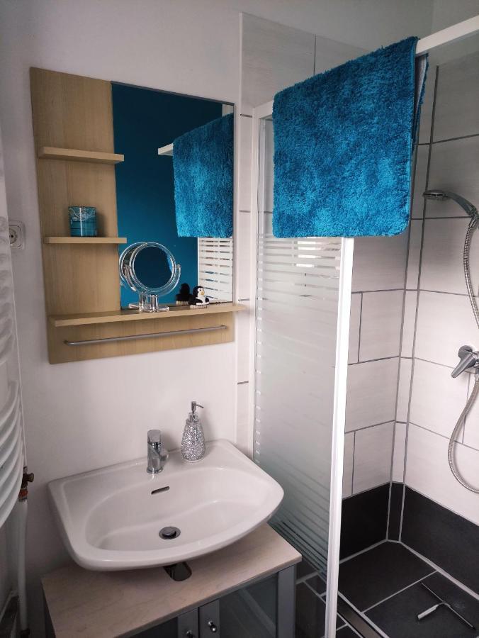 Ferienwohnung-Im-Karolinenkoog-Erholung-Zwischen-Feld-Und-Deich エクステリア 写真