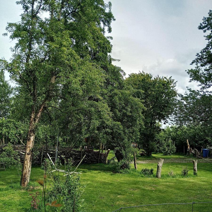 Ferienwohnung-Im-Karolinenkoog-Erholung-Zwischen-Feld-Und-Deich エクステリア 写真