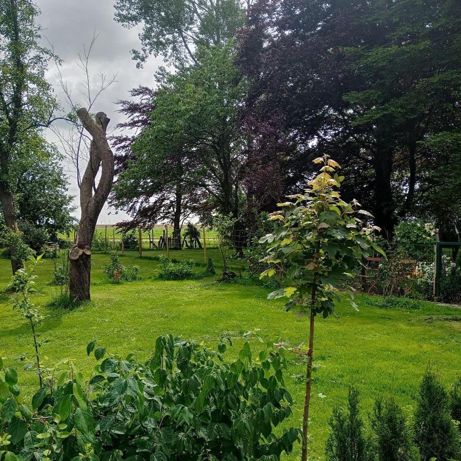 Ferienwohnung-Im-Karolinenkoog-Erholung-Zwischen-Feld-Und-Deich エクステリア 写真